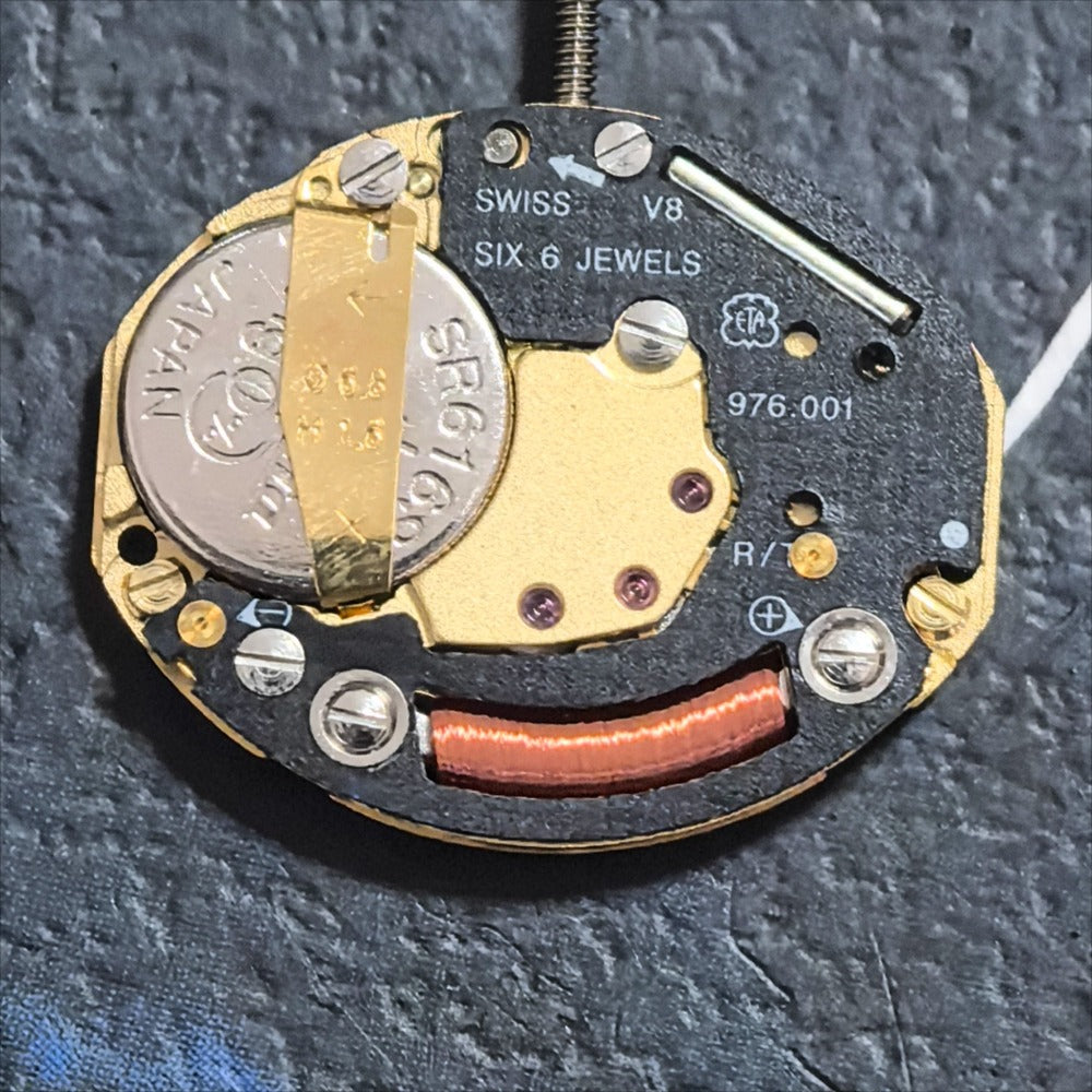 Swiss Made ETA976.001 Quartz Movement 2 Hands Watch Part