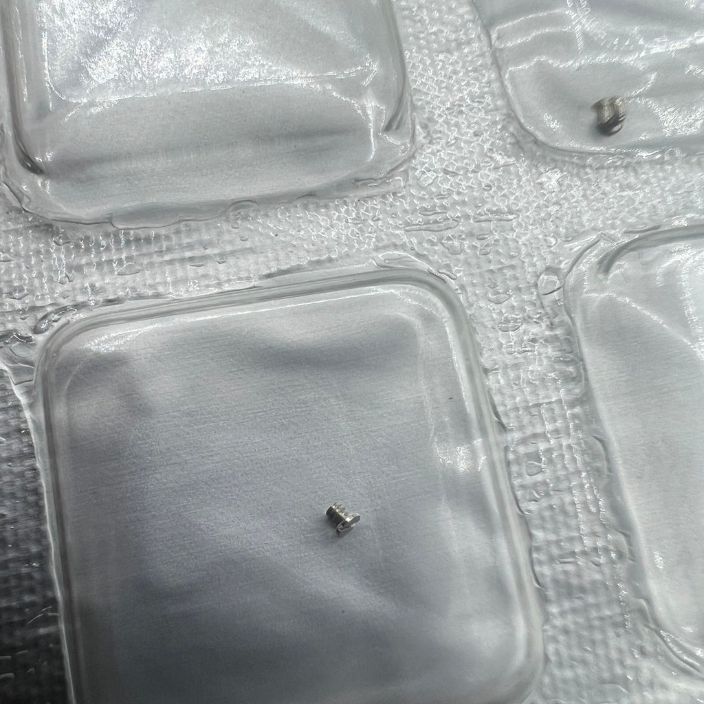10 PIECES Automatic Device Bridge Splint Screws Fit for ETA 2836-2 2824-2 2834-2