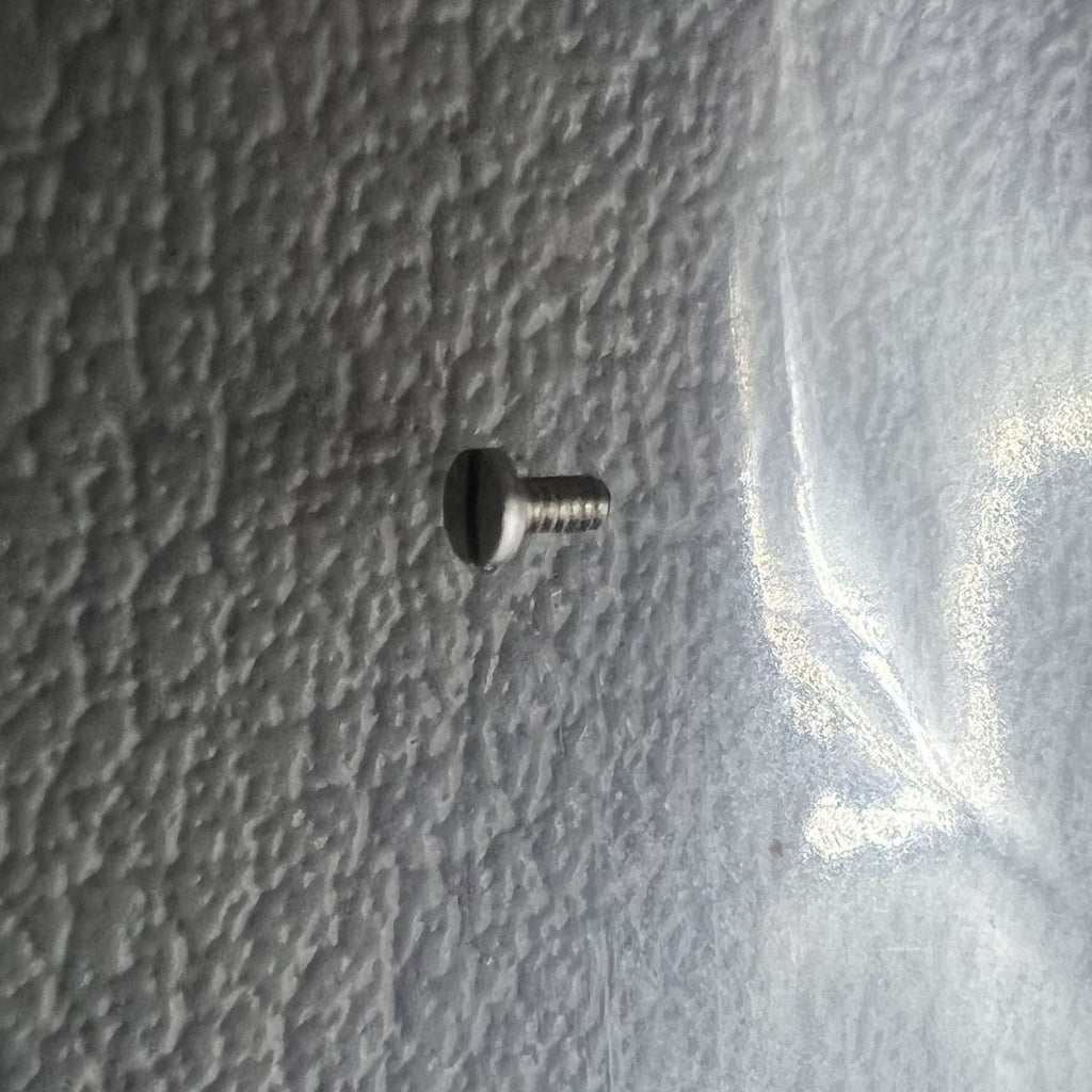 2 PIECES Original Big Movement Screws of Ratchet Wheel for ETA C07.111 Movement