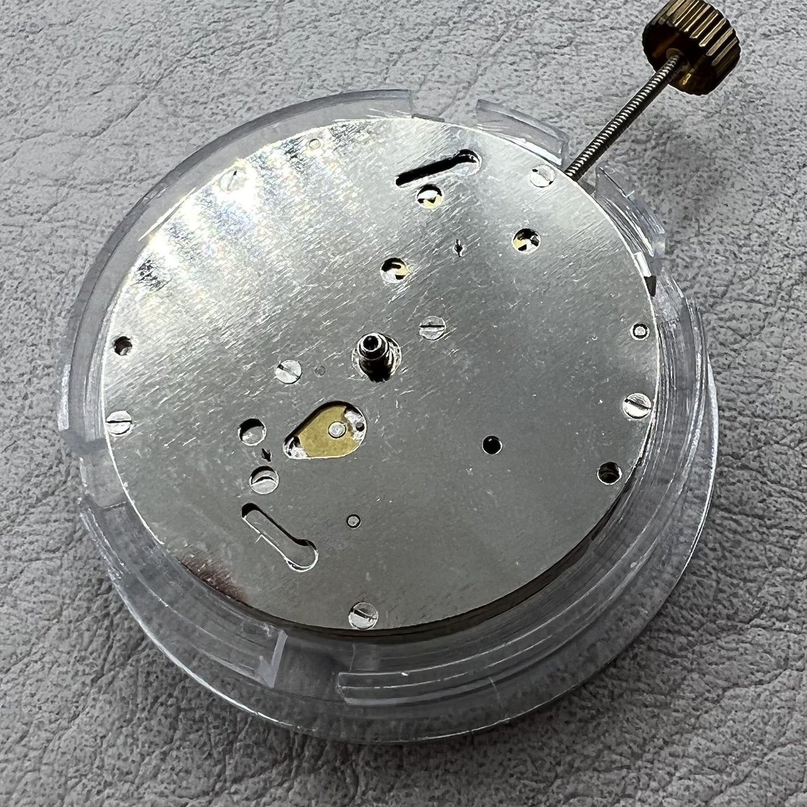 Dandong DL8218 Star Moon Phase Silver Date Week Automatic Mechanical Movement