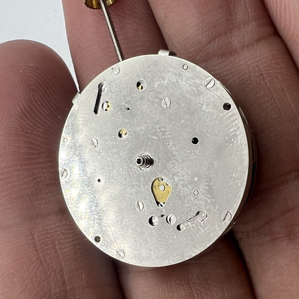 China Made Dandong 8217 Silver Multifunctional Automatic Mechanical Movement