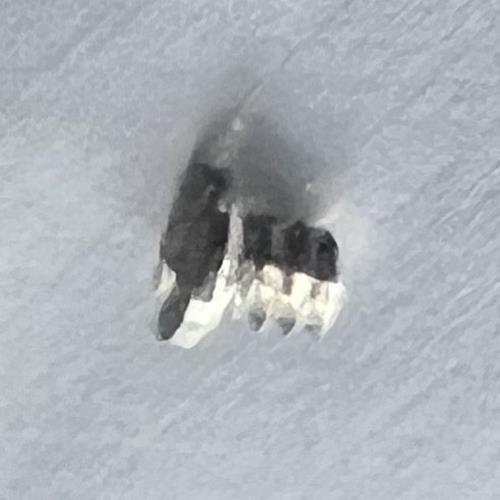 10 PIECES Automatic Device Bridge Splint Screws Fit for ETA 2836-2 2824-2 2834-2