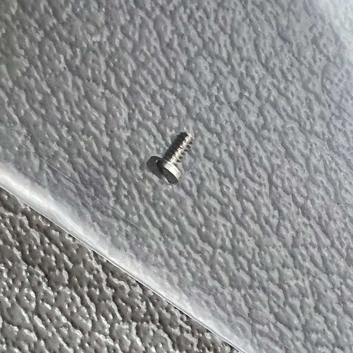 2 PIECES Original Big Movement Screws of Ratchet Wheel for ETA C07.111 Movement