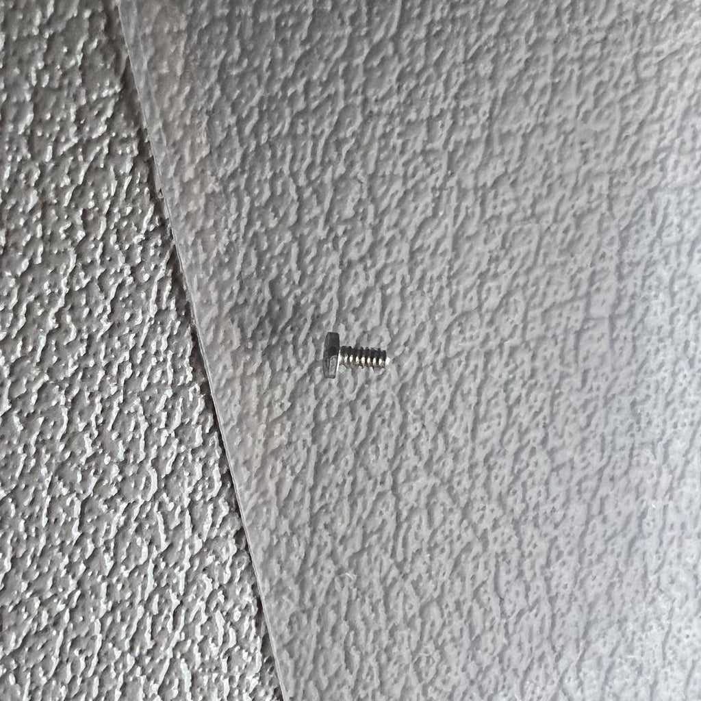 2 PIECES Original Big Movement Screws of Ratchet Wheel for ETA C07.111 Movement