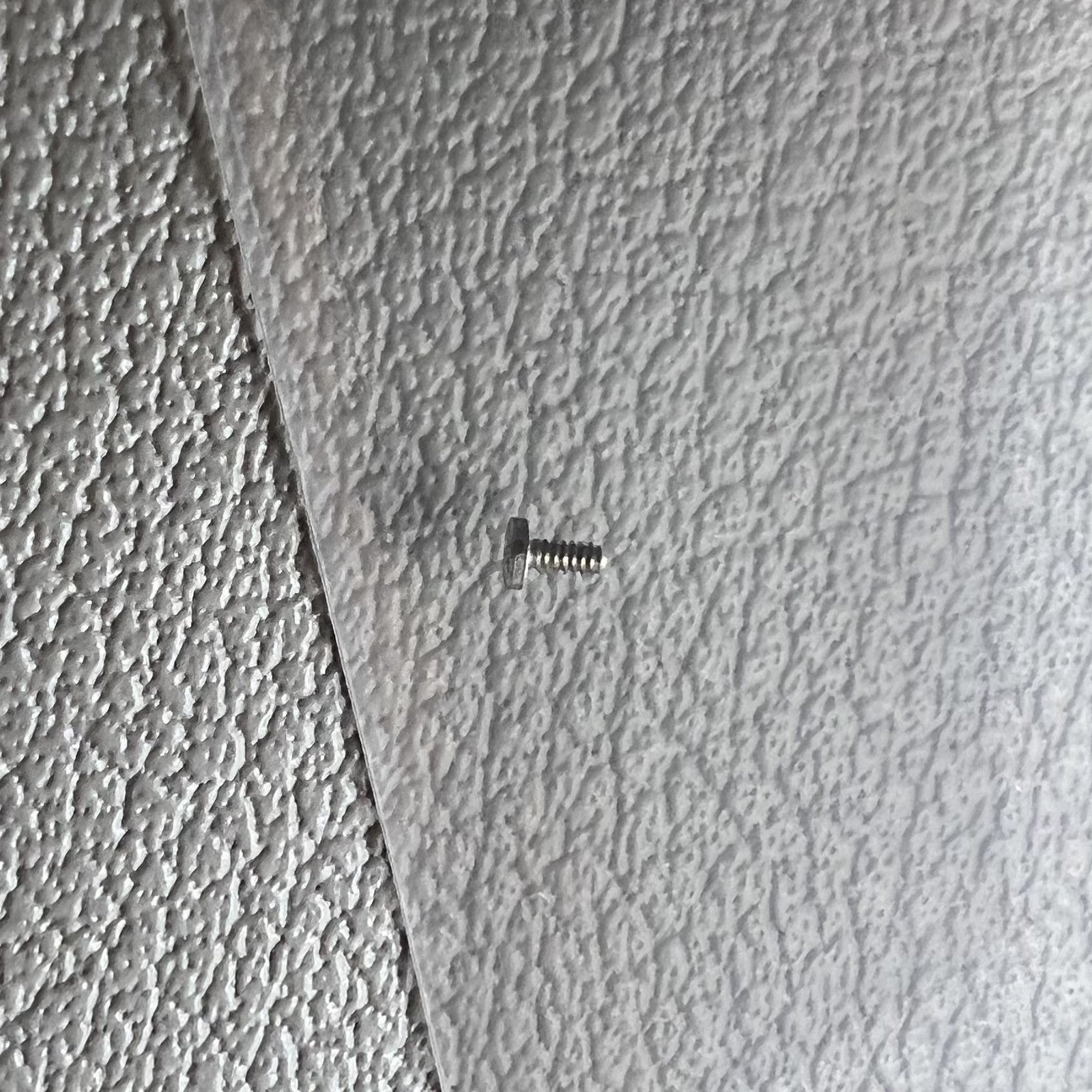 2 PIECES Original Big Movement Screws of Ratchet Wheel for ETA C07.111 Movement