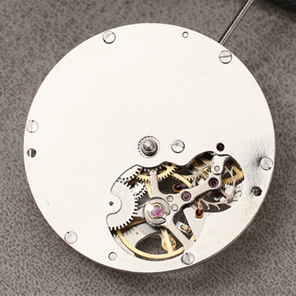 Asian DANDONG Silver DL8207 Bare Balance Wheel Automatic Mechanical Movement