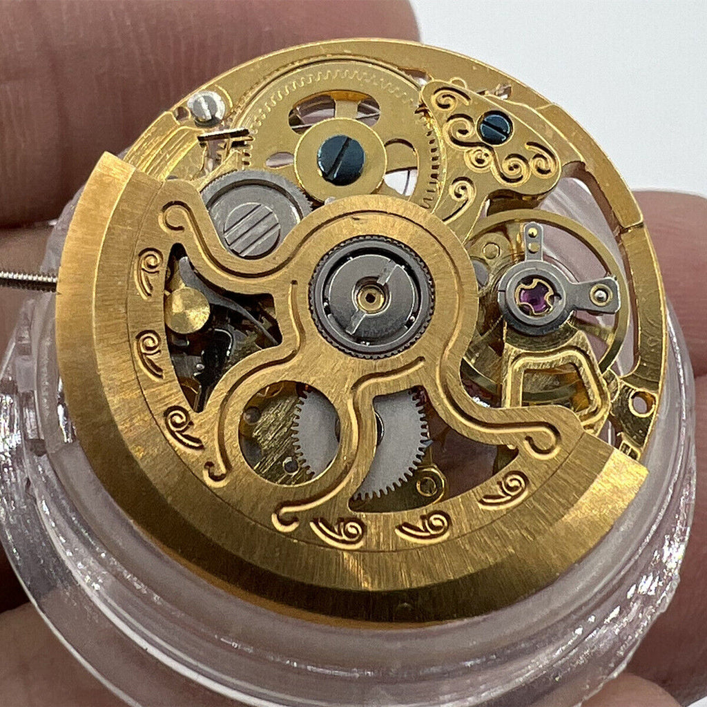 Golden Hollow 2189 Automatic Mechanical Movement China Made Brand New Movement