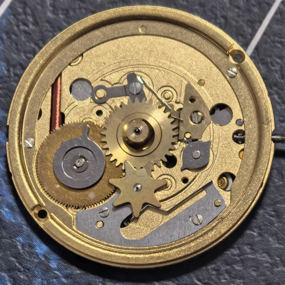 Swiss 255.495 Multifunctional Quartz Movement Watch Repair Part