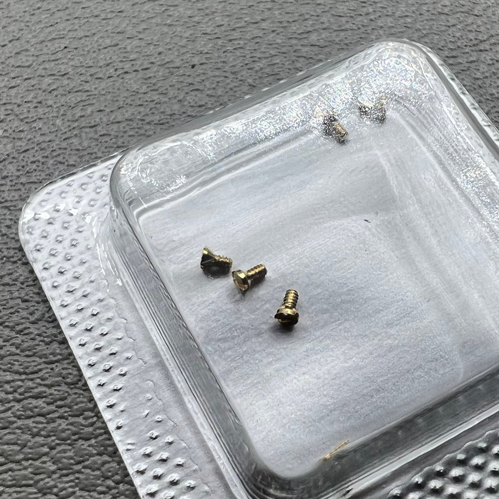 6 PIECES/Set Watch Case Back Screw 1.2×0.7x1.7mm for L4.209.4 Watch